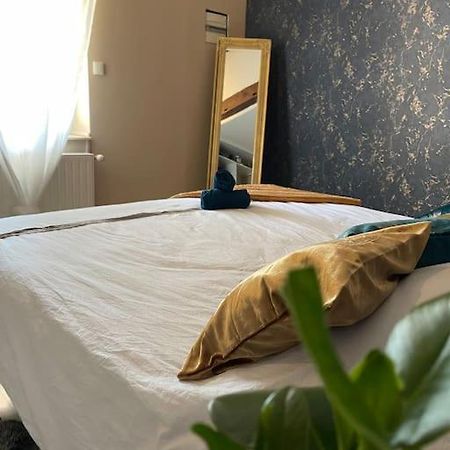 Appartement De Charme 80M2 Givors Exteriör bild