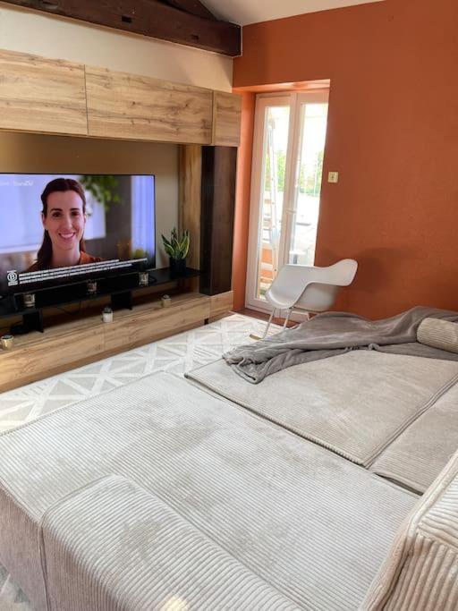 Appartement De Charme 80M2 Givors Exteriör bild