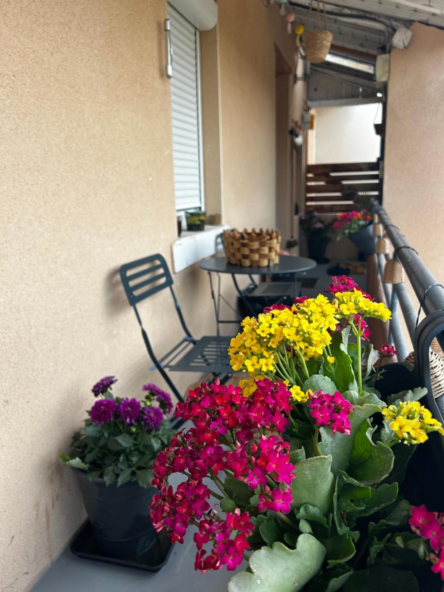 Appartement De Charme 80M2 Givors Exteriör bild